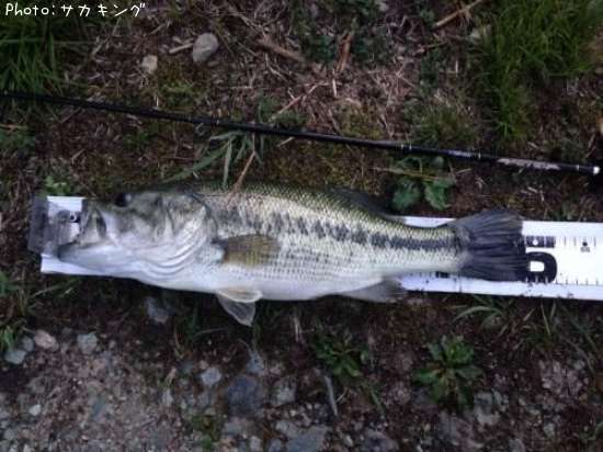 �֥�å��Х�