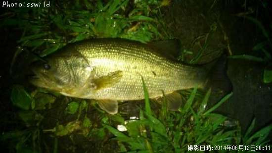 �֥�å��Х�