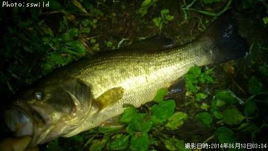 �֥�å��Х�