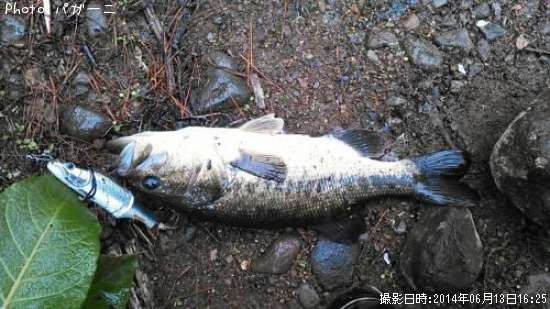 �֥�å��Х�