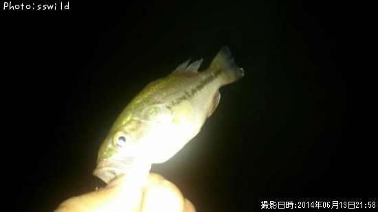 �֥�å��Х�