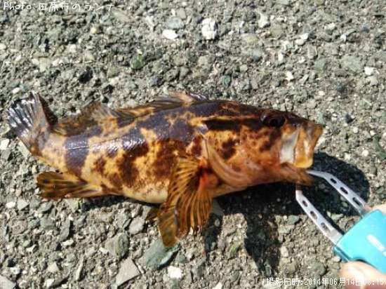 �����Υ���Х�