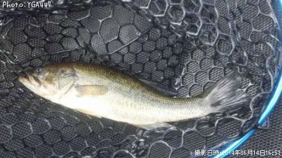 �֥�å��Х�