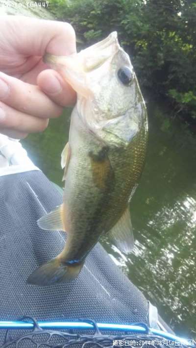 �֥�å��Х�