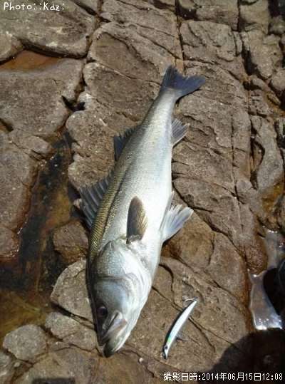 �����Х�