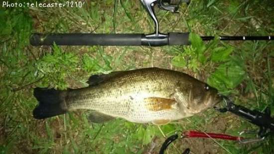 �֥�å��Х�