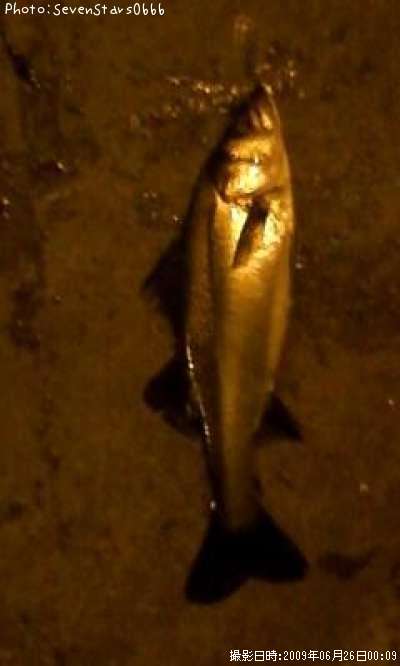 �����Х�