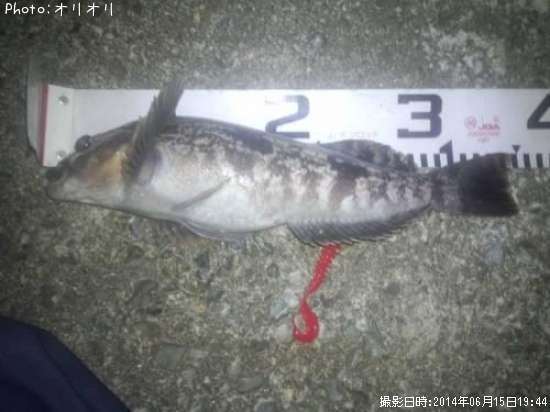 �����ʥ�