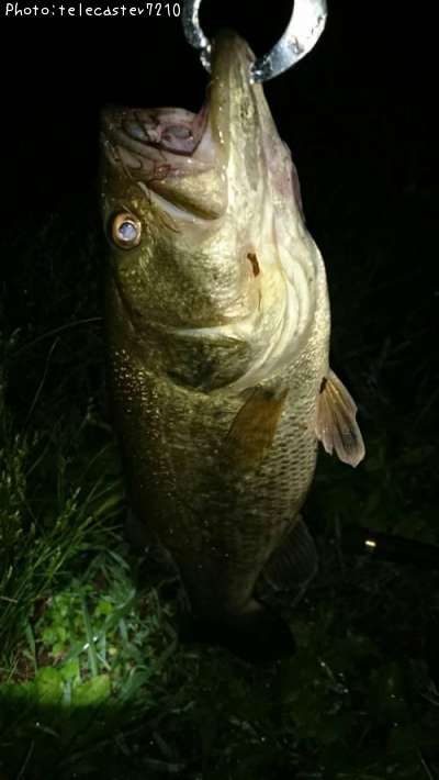 �֥�å��Х�