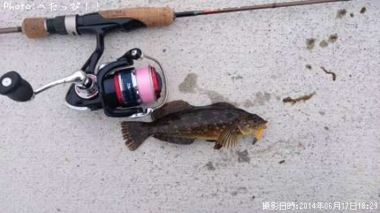 �����ʥ�