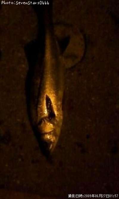 �����Х�