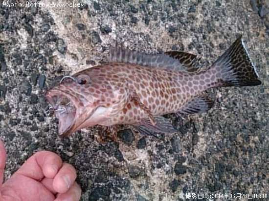 �������ϥ�