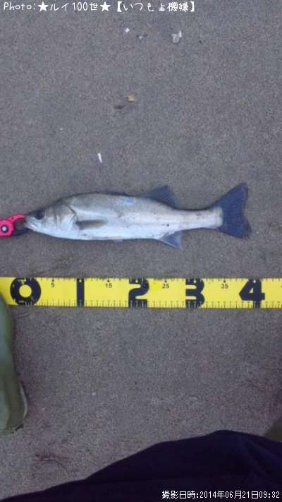 �����Х�