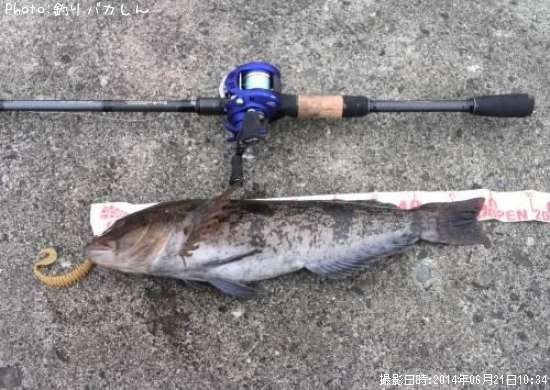 �����ʥ�