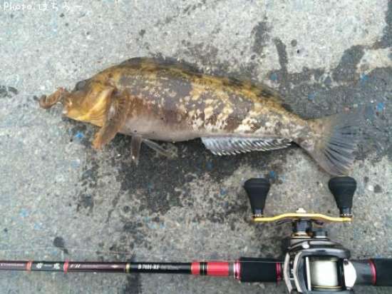 �����ʥ�