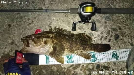 �٥å�������