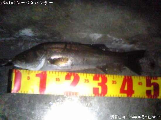 �����Х�