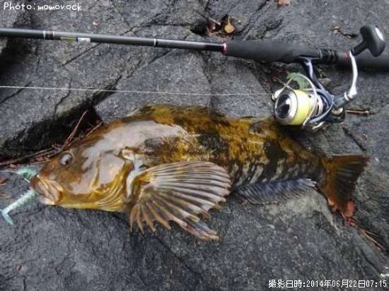 �����ʥ�