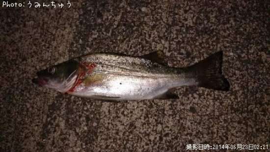 �����Х�