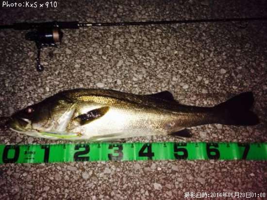 �����Х�