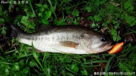 �顼���ޥ����Х�