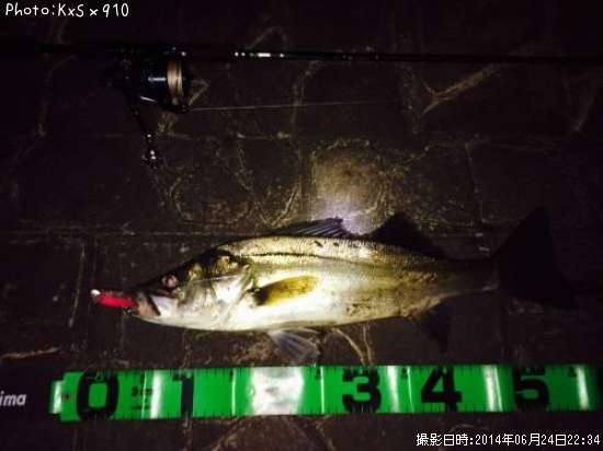 �����Х�