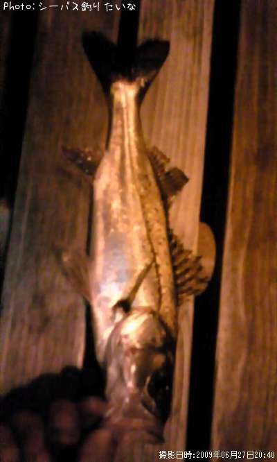 �����Х�