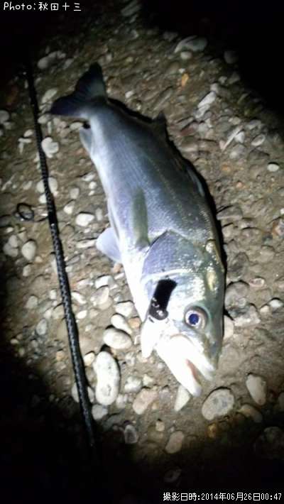 �����Х�