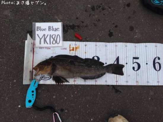 �����ʥ�