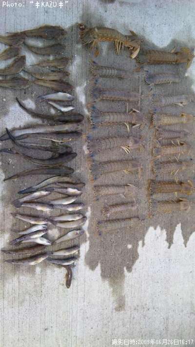 ���䥳���¡���