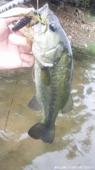 �֥�å��Х�