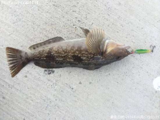 �����ʥ�