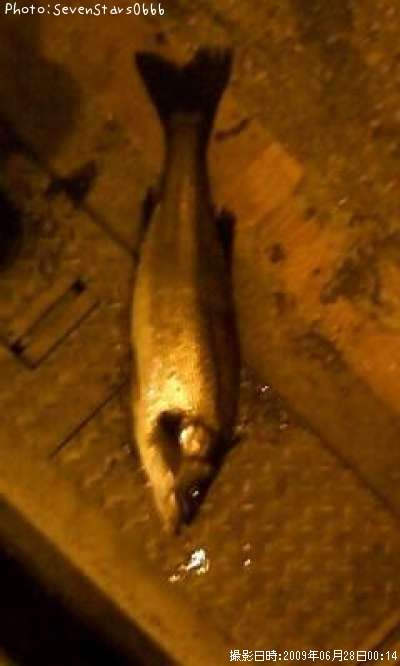 �����Х�