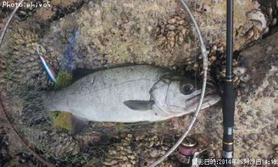 �ҥ饹����