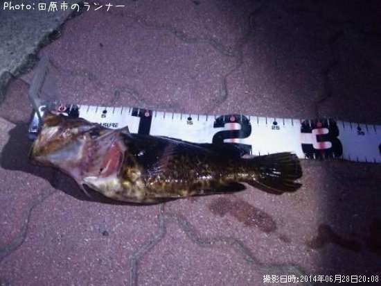 �����Υ���Х�