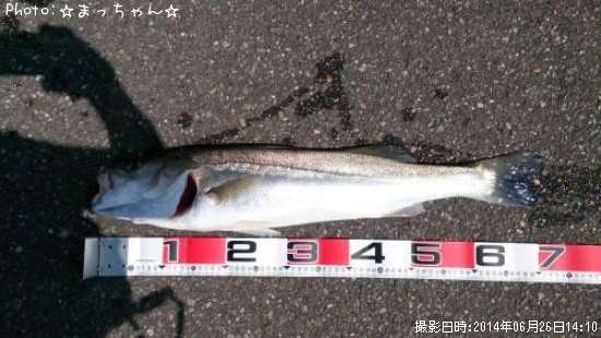 �����Х�