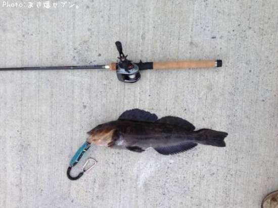 �����ʥ�