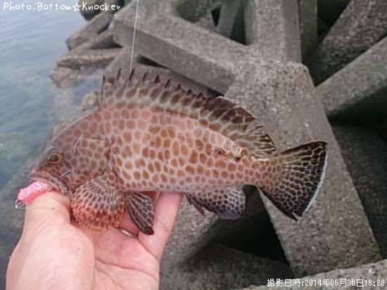 �������ϥ�