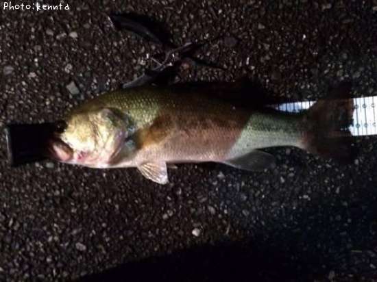 �֥�å��Х�