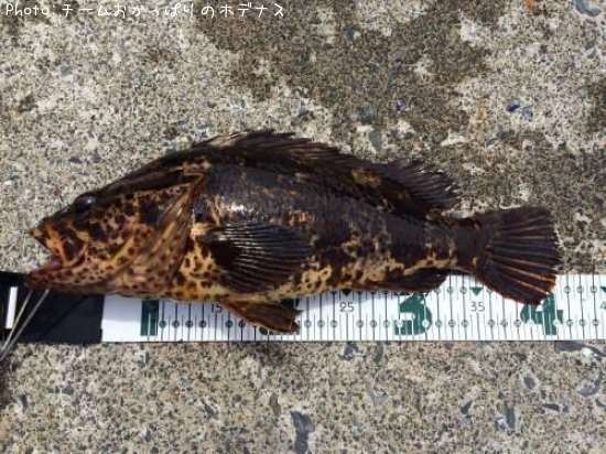 �����Υ���Х�