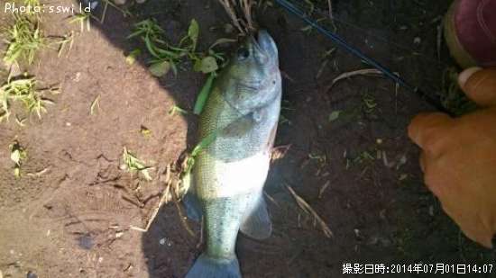 �֥�å��Х�