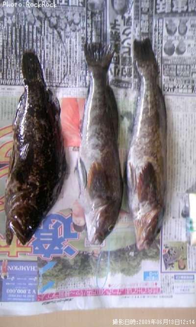 �����ʥ�