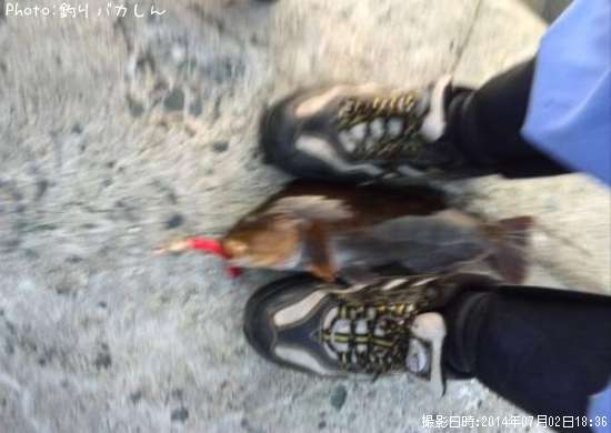 �����ʥ�