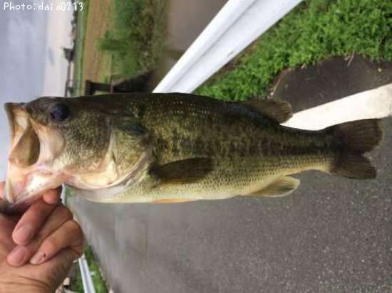 �֥�å��Х�