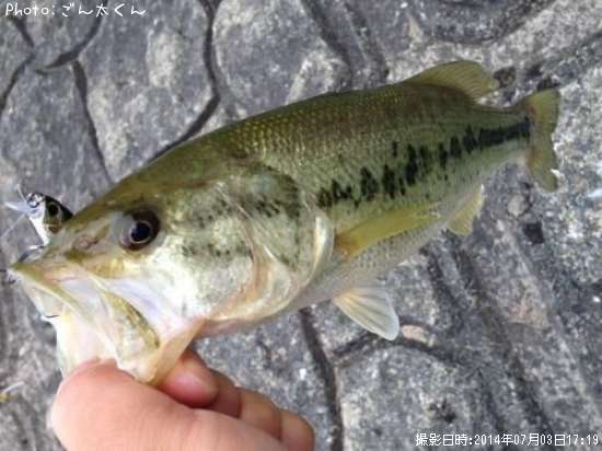 �֥�å��Х�