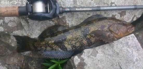 �����ʥ�