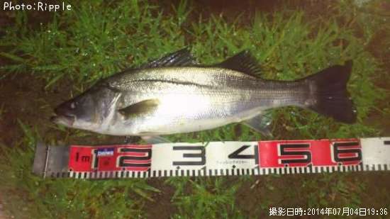 �����Х�