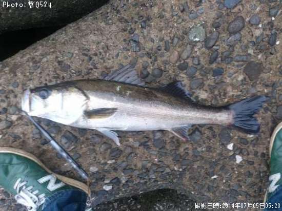 �����Х�