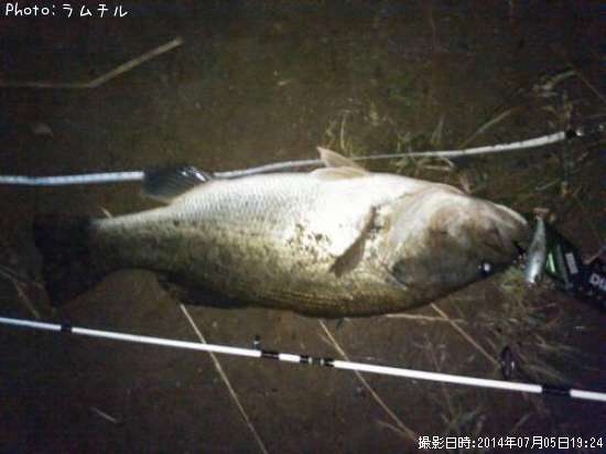 �֥�å��Х�