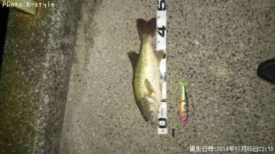 �֥�å��Х�